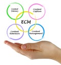 Enterprise content management Royalty Free Stock Photo