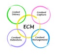 Enterprise content management Royalty Free Stock Photo