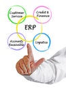 Components of ERP Royalty Free Stock Photo