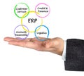 Components of ERP Royalty Free Stock Photo