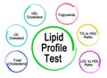 Components of Lipid Profile Test