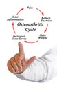 components of Osteoarthritis Cycle