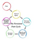 Components of Persistent Pain Cycle