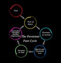 Persistent Pain Cycle