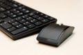 Components of a personal computer: mouse, keyboard Royalty Free Stock Photo