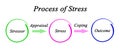 Process of Stress