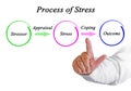 Process of Stress