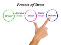 Process of Stress