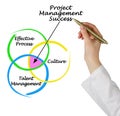 Project Management Success Royalty Free Stock Photo