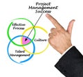 Project Management Success Royalty Free Stock Photo