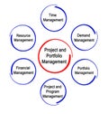 Project and Portfolio Management