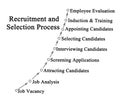 Recruitment and Selection Process