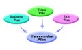Components of Succession plan