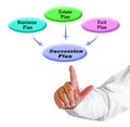 Components of Succession plan Royalty Free Stock Photo