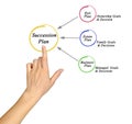 Components of Succession plan Royalty Free Stock Photo
