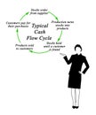 Typical Cash Flow Cycle