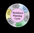 Components of Workforce Planning Cycle