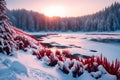 Compose a serene winter landscape capturing a tranquil winter scene,