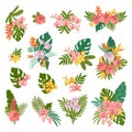 Tropical set of 15 flowers bouquets. Royalty Free Stock Photo