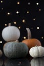 Composion of colorful pumpkins, black background, reflection