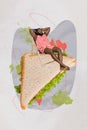 Composite artwork collage young man relax sunbathing on chair slumber huge toast lettuce salad sandwich toast 