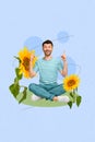 Composite artwork photo collage of young funny man sitting crossed legs direct fingers up near organic sunflower