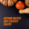 Composite of autumn nights and ghostly sights text and halloween pumpkins on grey background Royalty Free Stock Photo