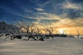 A composite of a barrier island beach and a dramatic sunrise and clouds shot.