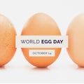 Composite of brown eggs arranged with world egg day and october 14 text against white background