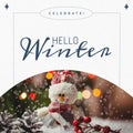 Composite of celebrate hello winter text and close-up of snowman with pinecones and cheery on snow