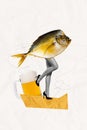 Composite collage image of beer mug salty fish woman legs high heels shoes bar cook eat food surrealism template Royalty Free Stock Photo