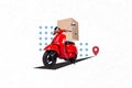 Composite collage image of carton box scooter driving shopping seller goods shipping gps mark weird freak bizarre Royalty Free Stock Photo