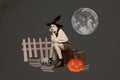 Composite collage image of sad bored waiting female traveler sit valise witch costume decoration happy halloween