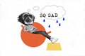 Composite collage image of sad unhappy upset male monkey head wild animal wildlife thinking rainy bad mood depression
