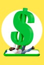 Composite collage photo of young startup economics finance manager businessman fall down display hold dollar symbol