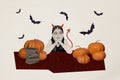 Composite collage picture image of funny schoolgirl devil demon horns tail hell books witch costume happy halloween