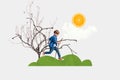 Composite collage picture image of little boy run dry tree orange sun clouds isolated on creative background