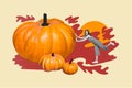 Composite creative photo collage of astonished crazy woman push big pumpkin prepare for halloween isolated on yellow