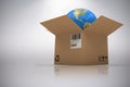 Composite 3d image of graphic image of globe in cardboard box Royalty Free Stock Photo