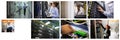 Composite of eight images with processors and technicians in tech room maintaining computer servers