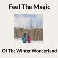Composite of feel the magic of the winter wonderland text over caucasian couple in winter scenery