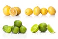 Composite with Green lime and yellow lemon isolated Royalty Free Stock Photo