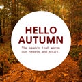 Composite of hello autumn text over autumn forest