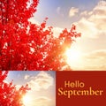 Composite of hello september text over autumn tree in garden
