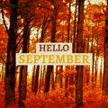 Composite of hello september text over autumn trees in forest