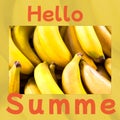 Composite of hello summe text and close-up of fresh bananas for sale at market, copy space