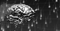 Composite of human brain, binary coding and data processing Royalty Free Stock Photo