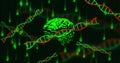 Composite of human brain, dna strands, binary coding and data processing Royalty Free Stock Photo