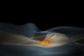 Composite image of argentina flag waving Royalty Free Stock Photo