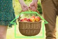 Composite image of basket of apples being carried by a young couple